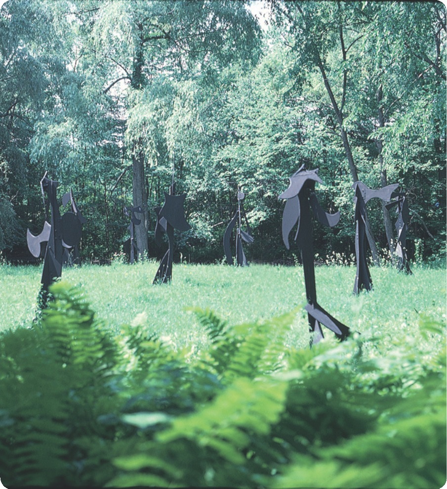 Sculptures installed among trees and ferns at David Hayes Sculpture Fields